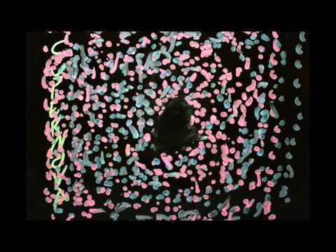 Final Astronomy Project – Stellar Evolution