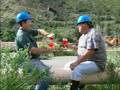 Chemical Hazard Information Informaci�n sobre riesgos qu�mi