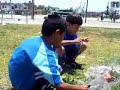 hageo y su primo