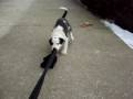 videos de Mawlch Tess playing - part 3