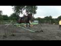 14.2 jumping 1m30 ish!