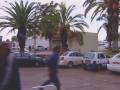 Life and death in southern Israel