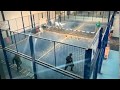 Click to View : «Gigante Padel»: Crossfit y Padel