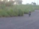 Ralado Treinando