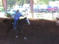 Carolina Sport Horses THREE FREE
