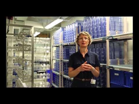 how to eliminate biofilm