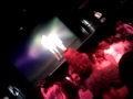 Ronan Parke live.mp4