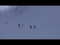 videos de Dirk im Nebel