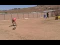 See Video