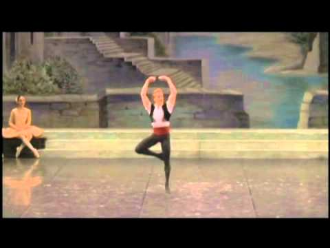 世界バレエフェスティバル　Special Movie2　スティーヴン・マックレー