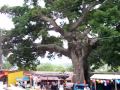Panchimalco: Ambiente Festivo