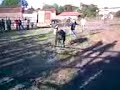 Vacada Arnal ficou sem corno...