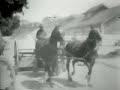 REEL 1 - 1918 REMOUNT AND VETERINARY ACTIVITIES IN THE AEF