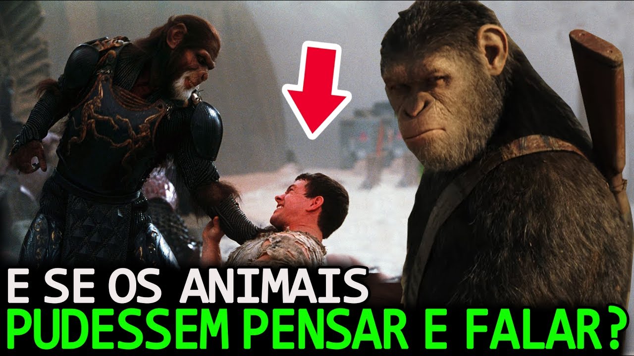 O que aconteceria se os animais começassem a falar?