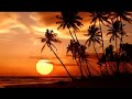 Bonde Do Role - Marina Gasolina (Peaches Remix)