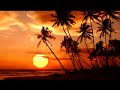 Bonde Do Role - Marina Gasolina (Peaches Remix)