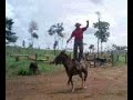 Quase um adestrador de cavalo.3gp Quase um adestrador de cavalo.3gp