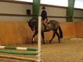 Otto-T1
