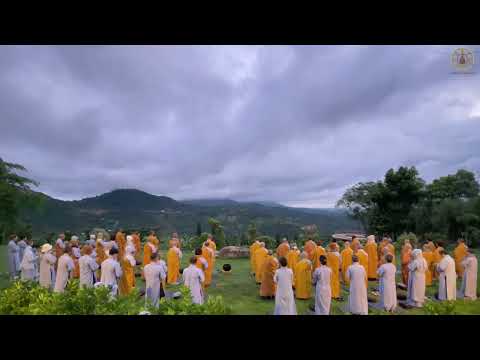 NIKAYA Thiền Quán - Lý Duyên Khởi & 37 Chánh Giác Phần **