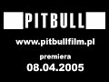 pitbull   andrzej grabowski  gebels 