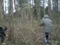 perdu dans les bois 1