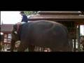 khmer-thai-movies-1