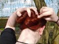 Tutoriel : Infinity Bun
