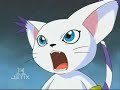 Gatomon Won\ Gatomon Won\