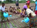 Volunteer in Africa & Work with Children, HIV & AIDS, Youth... Denmark/ Africa Picture 8