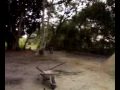 dirt jump nova rampa 03