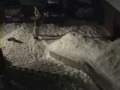 Snowskate serreche