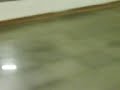 rebolation no shop`s