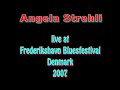 amateur videorecorded at frederikshavn bluesfestival in denmark 2007.