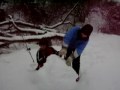 The Gore family of Lambertville enjoyed their day off Monday playing in the snow near their home. Six of the seven children enjoyed snowboarding, building snowmen, sledding and throwing snowballs.