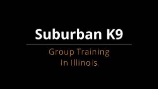 Suburban K9 Meetup in Yorkville Illinois!