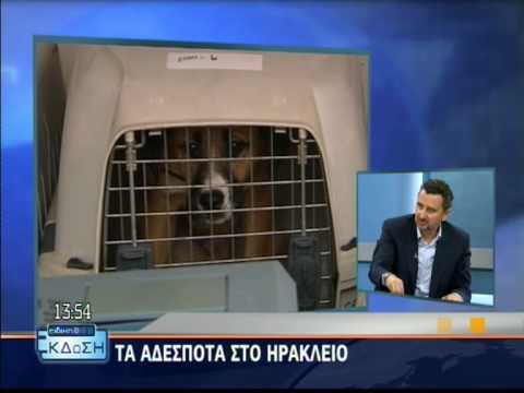 zoofili - KRITI TV / zoofili drassi /Georgia parτ 5.