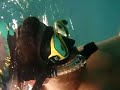snorkelling