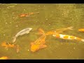zen-transitions.html