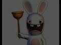 SILLY BUNNY