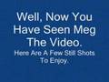 Labrador Retriever video