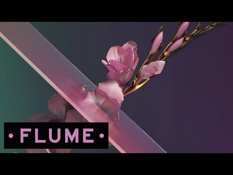 Flume feat. Kai - Never Be Like You