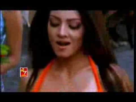 Search results for : Bombay Vikings