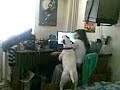 Lupin The Bull Singing