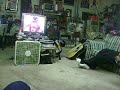 Funny Dog