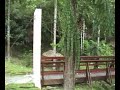 Penang Telok Bahang Forest park