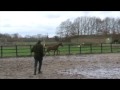 29112009_144148.MPG
