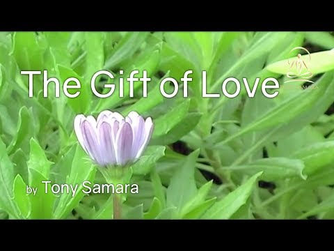 Gift of love meditation with Tony Samara