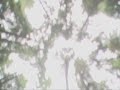 http://animeseries.bb-fr.com/index.htm

extrait en francais de kyle xy