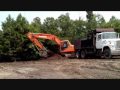 Daewoo Excavator Loading Dump Truck