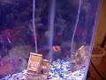My oscars Eating